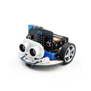 Micro:bit bàsic